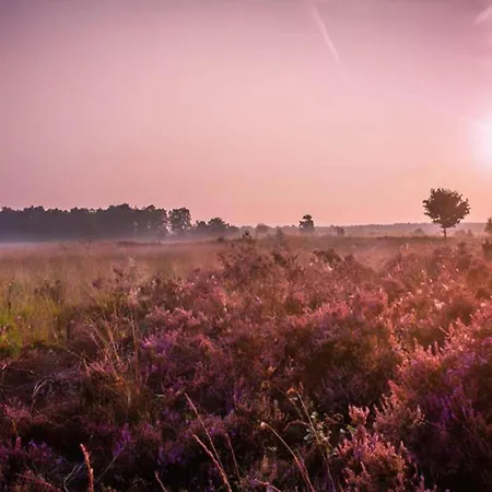Holiday home In Veluwe With Veranda, Cleaning Included