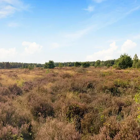 Holiday home In Veluwe With Veranda, Cleaning Included