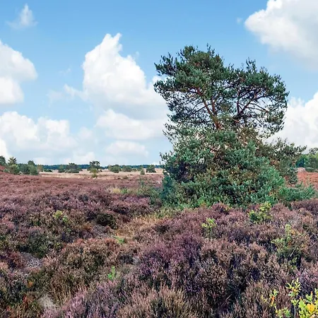 In Veluwe With Veranda, Cleaning Included Voorthuizen