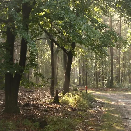 Holiday home In Veluwe With Veranda, Cleaning Included